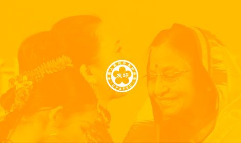 中國人民對外友好
協(xié)會官網網站開發(fā)